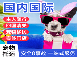天河航空货运国际宠物托运 【国